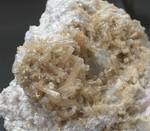 "ELBAITE"