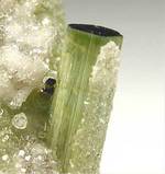 "ELBAITE"