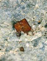 "BROOKITE & ANATASE"