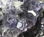 "FLUORITE"