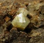 "Wardite"