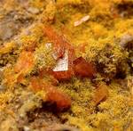 "WULFENITE & MIMETITE"