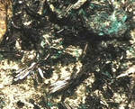 "ATACAMITE"