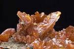 "ORPIMENT"