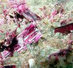 "ERYTHRITE"