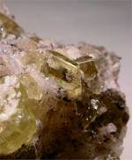 "FLUORAPATITE"