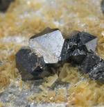 "SPHALERITE & GALENA"