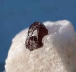 "SPINEL"