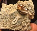 "GROSSULAR"