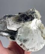 "Fluorapatite on Muscovite & Albite"