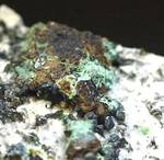 "CAFARSITE"