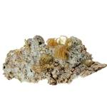 "Wulfenite & Dolomite"