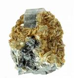 "Apatite & Siderite"