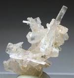 "HAMBERGITE"