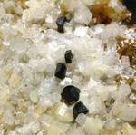 "SPHALERITE & SIDERITE"