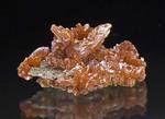 "ORPIMENT"