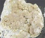 "Okenite & Gyrolite"