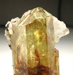 "FLUORAPATITE"