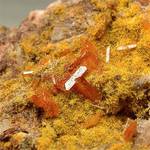 "WULFENITE & MIMETITE"