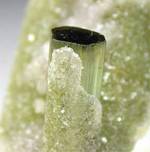 "ELBAITE"